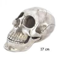 Silver Skull 17 Cm